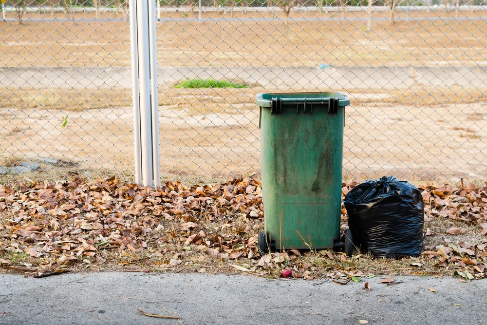 האם מותר לזרוק זבל בשבת? האם מותר לזרוק זבל בשבת?