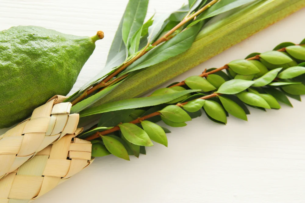 האם מותר לזרוק אתרוג?