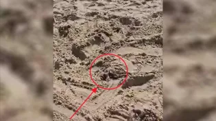 הלם: דבר תורה מהמקום הכי לא צפוי