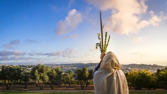 האם מותר לזרוק את ארבעת המינים?