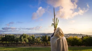 האם מותר לזרוק את ארבעת המינים?