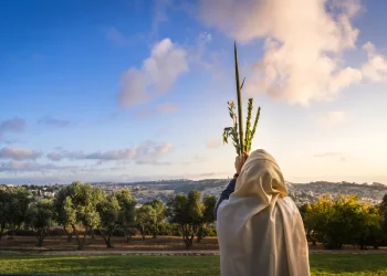 האם מותר לזרוק את ארבעת המינים?