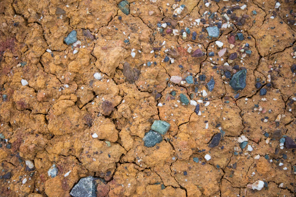 האם מותר לזרוק אבנים בשבת? האם מותר לזרוק אבנים בשבת?