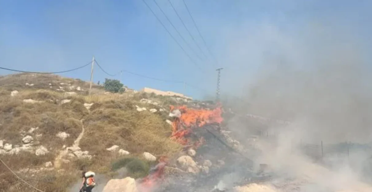 שריפה ביצהר שריפה ביצהר