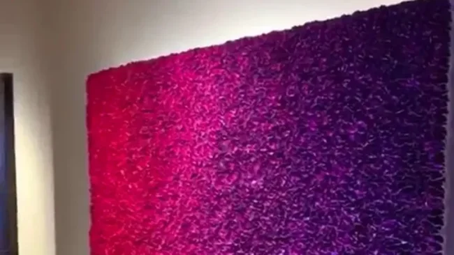 אמנות מדהימה מכל זווית אפשרית 