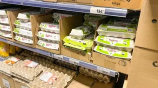 האם מותר לאכול ביצים בחו"ל?