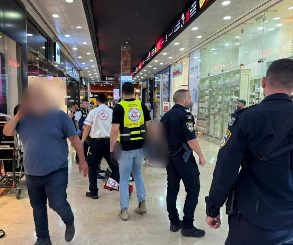 פיגןע בכרמיאל פיגןע בכרמיאל