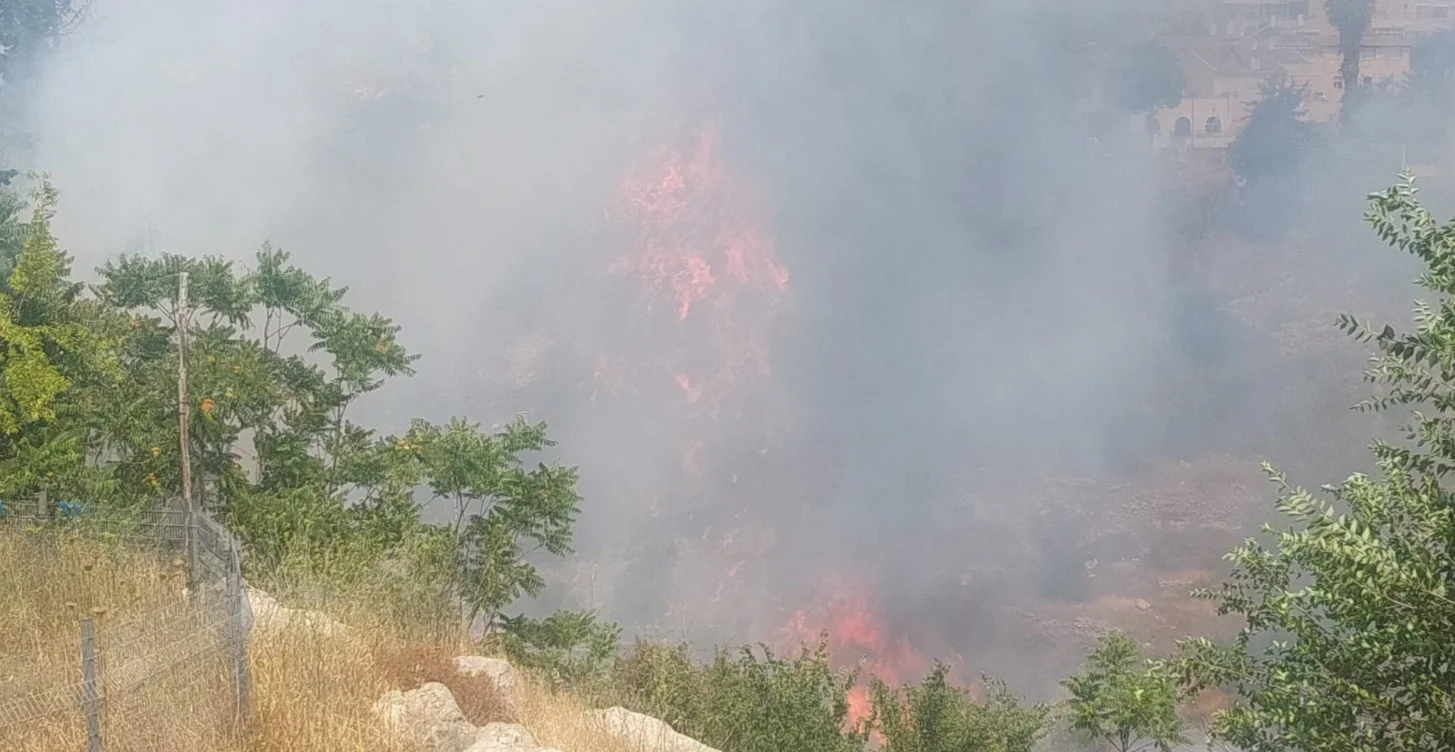 שריפה שריפה