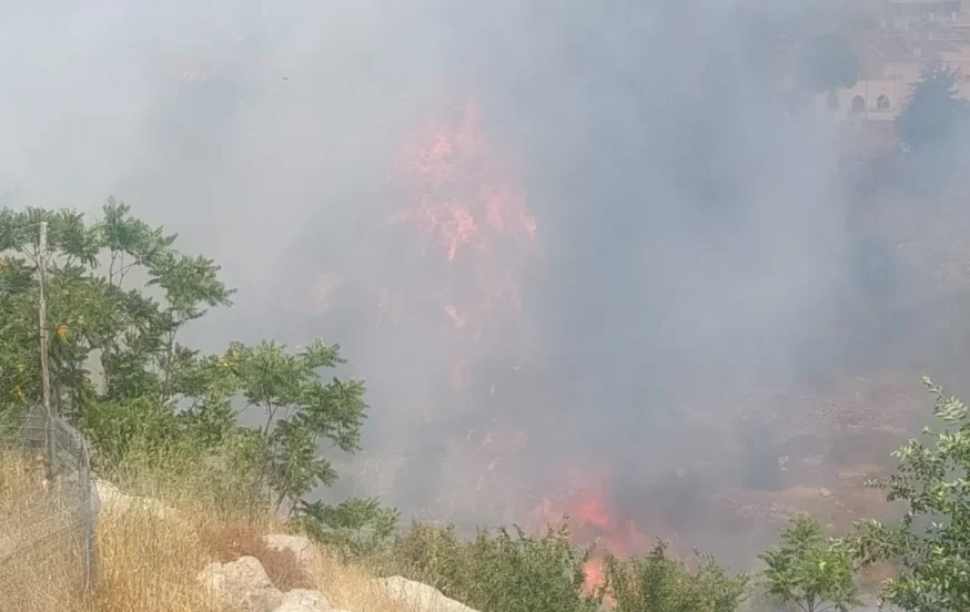 שריפה שריפה