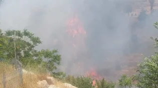 שריפה משתוללת בירושלים: סכנה נשקפת לבתים בגילה