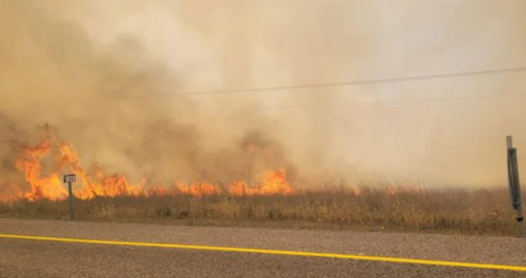 שריפות בצפון