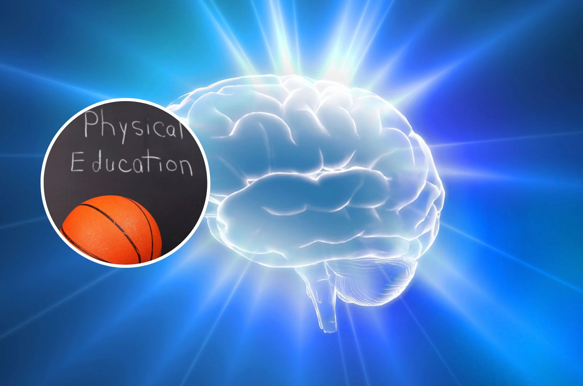 מחקר חדש: האם יש קשר בין חינוך גופני קבוע, לבריאות המוח?