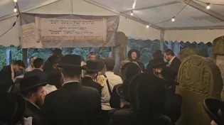 אלפים בהילולת ה"מאור ושמש" בקרקוב