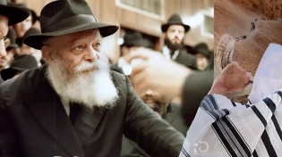 "הרבי אמר שנכין את ביאת משיח": 30 שנה להסתלקותו