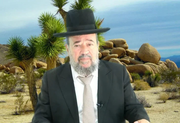 מי מריבה | חוקת | הרב דוד הכהן מרא דאתרא גן יבנה