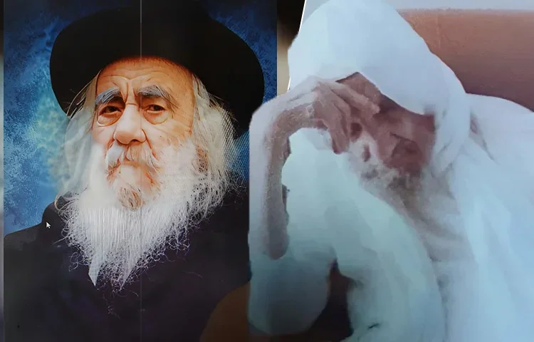 הבבא סאלי והסטייפלר. והפגישה היחידה ביניהם הבבא סאלי והסטייפלר. והפגישה היחידה ביניהם