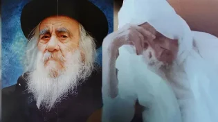 הבבא סאלי והסטייפלר: הפגישה היחידה ביניהם