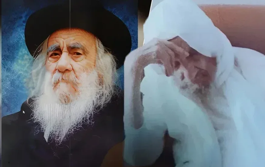 הבבא סאלי והסטייפלר: הפגישה היחידה ביניהם 