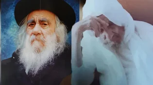 הבבא סאלי והסטייפלר: הפגישה היחידה ביניהם