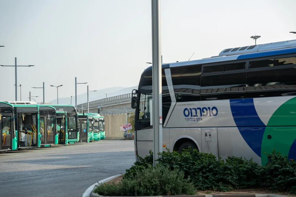 החרדים צדקו: השפית מהטלוויזיה קראה להפרדה באוטובוסים