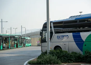 החרדים צדקו: השפית מהטלוויזיה קראה להפרדה באוטובוסים