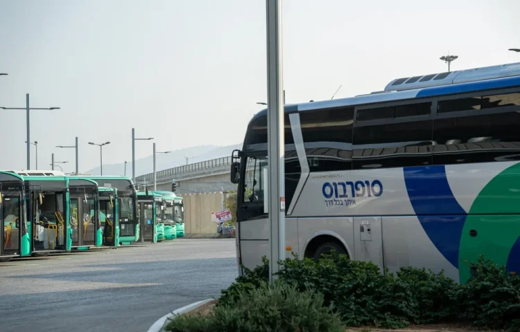 החרדים צדקו: השפית מהטלוויזיה קראה להפרדה באוטובוסים