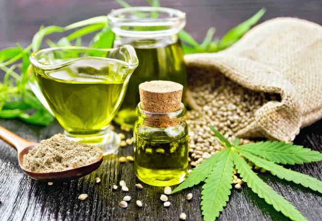 היתרונות של שמן המפ והשימושים הקולינריים שלו