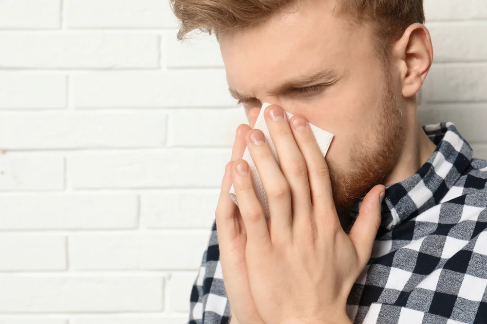 האם מותר או אסור לחטט באף בשבת?