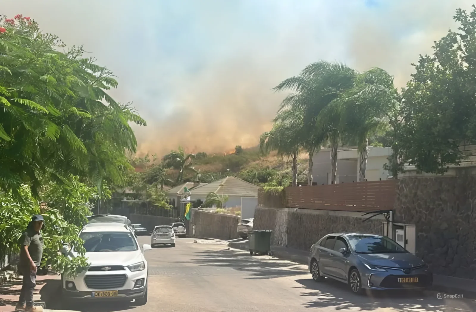 שריפות בארץ