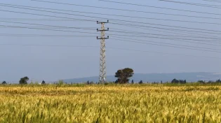 רפורמת החשמל יוצאת לדרך: מה צפוי לכם?