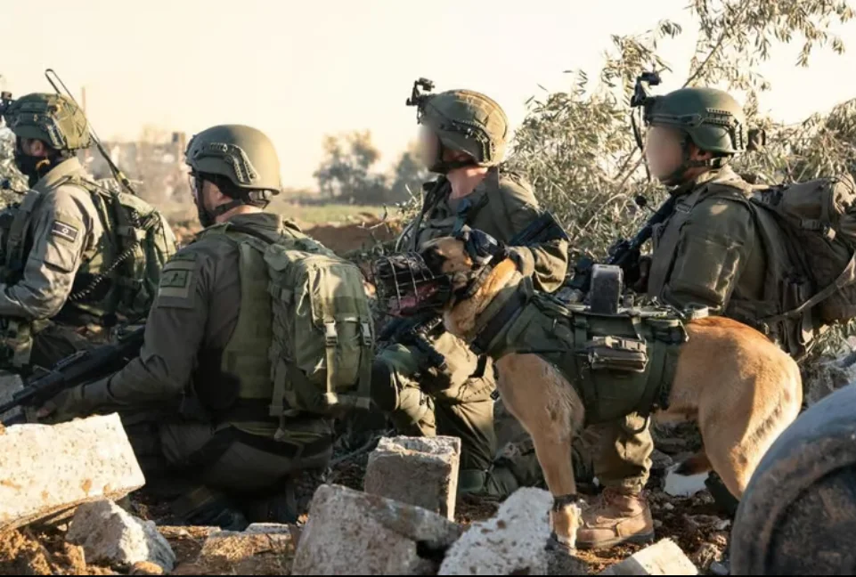 חיסול מחבלים חיסול מחבלים