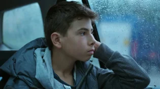 עד כמה הילד שלך מאתגר אותך? ארגז הכלים להורים