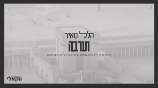 מתוך האלבום: הלל מאיר בביצוע ווקאלי לשירו "וערבה"