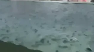 תיעוד בלתי נתפס: כמויות אדירות של גשם בטייוואן