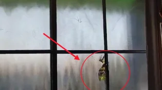 ירי על בית של לוחם בלוד שחזר מעזה
