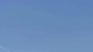 חפים מפשע? בעזה חגגו את השידורים הבוקר