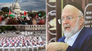 כמה צרות יש? הרב רוזנבלום במסר מחזק לקראת ט' באב