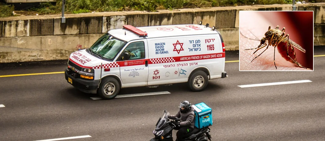 משרד הגנת הסביבה מזהיר: יתושים נגועים נמצאו בעמק חפר וברמת השרון משרד הגנת הסביבה מזהיר: יתושים נגועים נמצאו בעמק חפר וברמת השרון