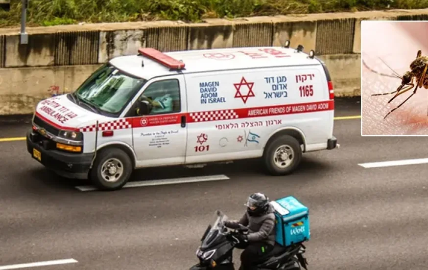 משרד הגנת הסביבה מזהיר: יתושים נגועים נמצאו בעמק חפר וברמת השרון משרד הגנת הסביבה מזהיר: יתושים נגועים נמצאו בעמק חפר וברמת השרון