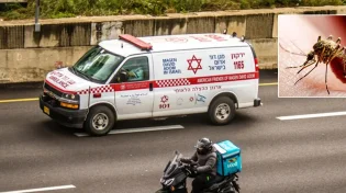 אזהרה: יתושים נגועים בקדחת נמצאו בעמק חפר וברמת השרון