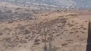 מצוד אחר מבצעי הפיגוע בבקעת הירדן