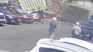 אימה בבת ים: המכולה נפלה והרכבים התרסקו