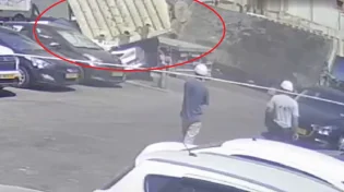 אימה בבת ים: המכולה נפלה והרכבים התרסקו