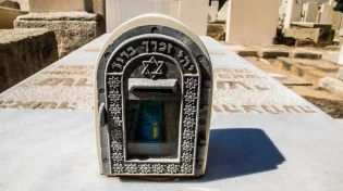 מצמרר: האם הכינה שניצלים לשבעה של עצמה