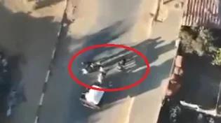סוס ועגלה: כך נתפסה חולית חמאס