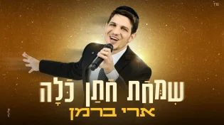 סוחף וקייצי: ארי ברמן בסינגל חתונות חדש