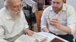 היונה השאירה נוצה - הרב אלישיב שמח: "מרמז על הגאולה"