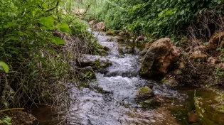 צה"ל הכריז על סגירת נחלים בצפון; זו הסיבה 