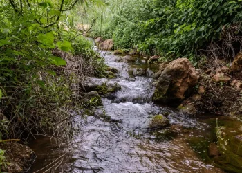 צווי סגירה לנחלים בצפון