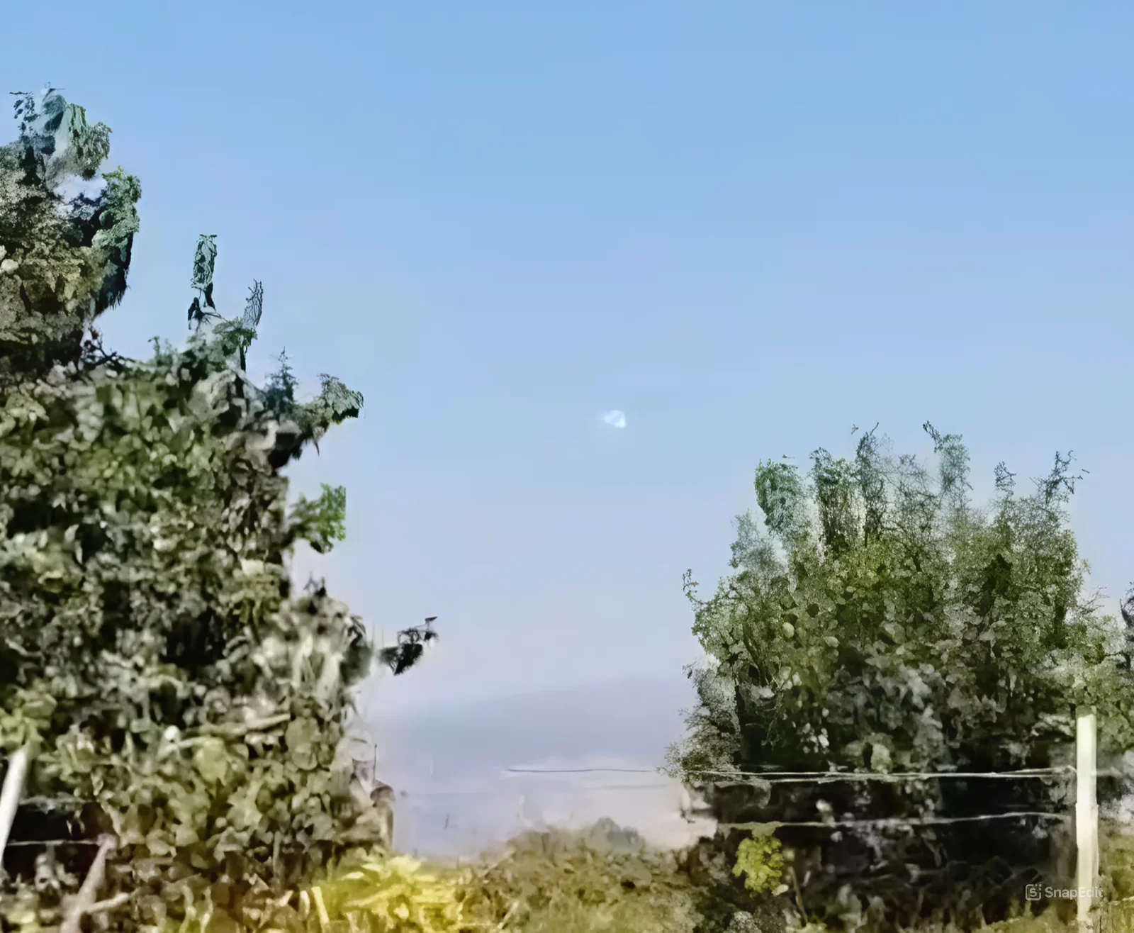 ירוטים מעל שמי הכנרת